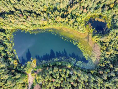 Litvanya ormanlarındaki bir gölün havadan görünüşü, vahşi doğa. Gölün adı 