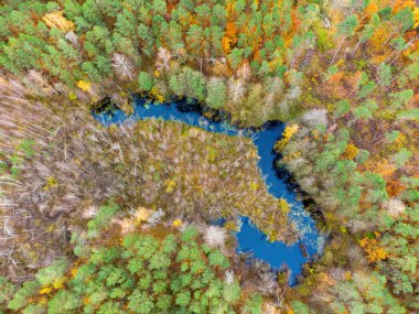 Aerial view of the lake in Lithuanian forests, wild autumn nature. Varena district, Europe. Dzukija national park.