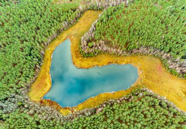 Aerial view of the lake in Lithuanian forests, wild autumn nature. Name of the lake 
