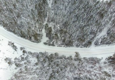 Yol kışın kıvrılır Orman ve Litvanya ile çevrilidir