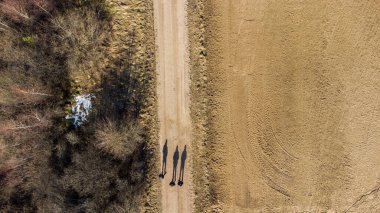 İlkbaharın başlarında yapılan incelemede, üç kişinin bir patika boyunca yürüdüğünü ve gölgelerinin en üstte olduğunu görüyoruz..