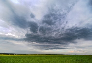 Mavi bulutlu arkaplanlı yeşil alan