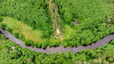 Ağaçları ve Merkys nehri olan yeşil ormanın üst manzarası, demiryolu köprüsü kalıntıları, Senoji Varena, Litvanya