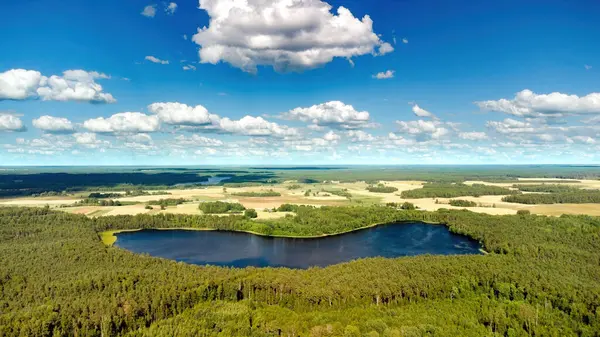 Aerial view of the lake in Lithuanian forests, wild nature, cloudy. Name of the lake 