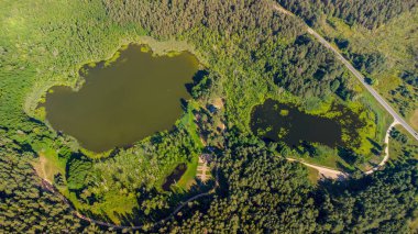 Litvanya ormanlarındaki bir gölün havadan görünüşü, vahşi doğa. Gölün adı 