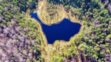 Dağın tepesinden göl manzarası, Litvanya, Varena, Dirzameniu Gölü.