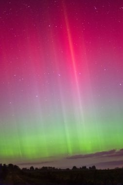 Kuzey ışıklarında Aurora Borealis, Litvanya. Portre biçimi