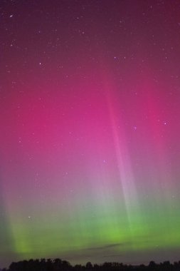 Kuzey ışıklarında Aurora Borealis, Litvanya. Portre biçimi