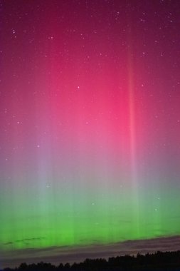 Kuzey ışıklarında Aurora Borealis, Litvanya. Portre biçimi