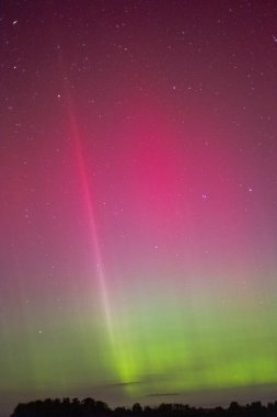 Kuzey ışıklarında Aurora Borealis, Litvanya. Portre biçimi