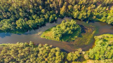 Litvanya nehrinin Merkys adası, yukarıdan ağaçlık bir çevrede.