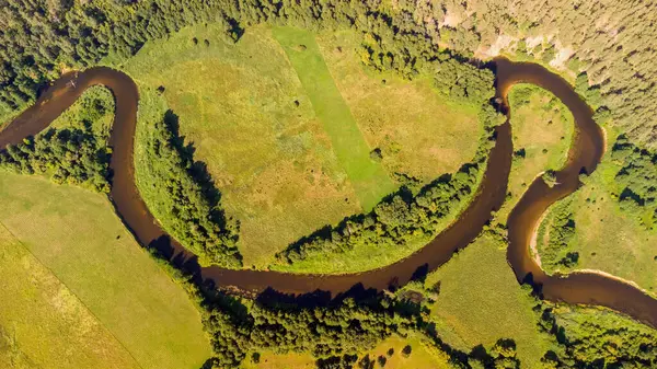 Merkys nehrinin dik kıvrımları ve döngüleri, yukarıdan, Merkine bölgesi, Litvanya. Dzukija Milli Parkı.