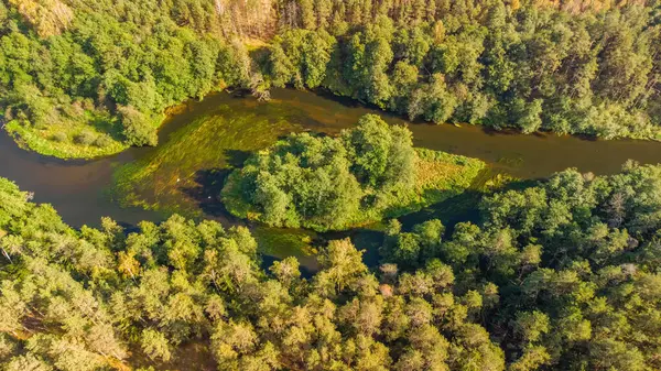 Litvanya nehrinin Merkys adası, yukarıdan ağaçlık bir çevrede.