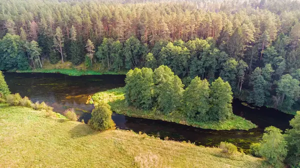 Litvanya nehrinin Merkys adası, yukarıdan ağaçlık bir çevrede.