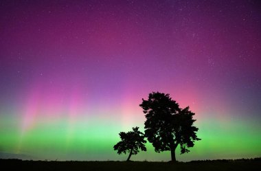 Kuzey Işıkları, Aurora Borealis. Arka planda iki ağaç olan gece gökyüzü, jeomanyetik fırtına G4