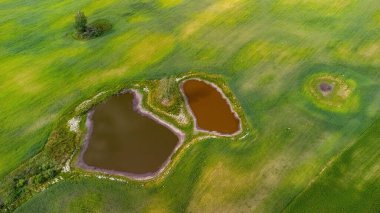 Ortasında iki gölet olan yeşil çayırlar, yaz renklerinde hava manzarası.