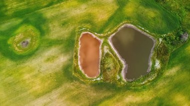 Ortasında iki gölet olan yeşil çayırlar, yaz renklerinde hava manzarası.