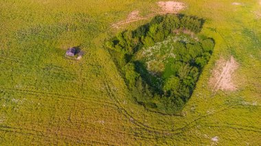 Kurumuş eski bir gölette büyüyen sık ağaçların yakınındaki terk edilmiş kırsal bir barakanın havadan görünüşü, açık bir arazide ekin tarlalarıyla çevrili..