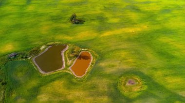 Ortasında iki gölet olan yeşil çayırlar, yaz renklerinde hava manzarası.