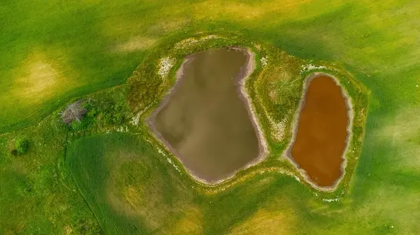 Ortasında iki gölet olan yeşil çayırlar, yaz renklerinde hava manzarası.
