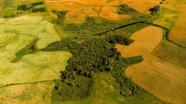 Yeşil tarlaları, çayırları, tarlaları ve orman arazileri olan kırsal bir arazinin havadan görünüşü. Yazın doğal kır manzarası