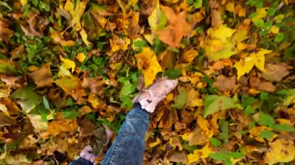 秋の黄色の落ち葉の上を歩くバラ色のブーツの女の子の足 上と落ち葉に沿ってカメラの動き トップビュービデオ 秋の自然映像 スローモーション 高品質4K映像 — ストック動画