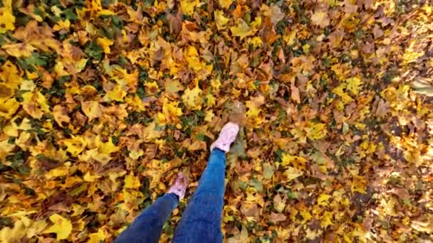 Dziewczęta Nogi Różowym Kolorze Buty Chodzenie Jesieni Żółte Spadające Liście — Wideo stockowe