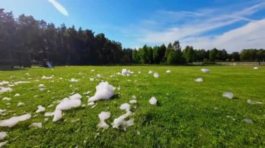 Güneşli bir yaz gününden sonra, köpüklü bir parti sonrası, çim biçme alanında köpük uçuşuyor. Yüksek kaliteli FullHD görüntüler