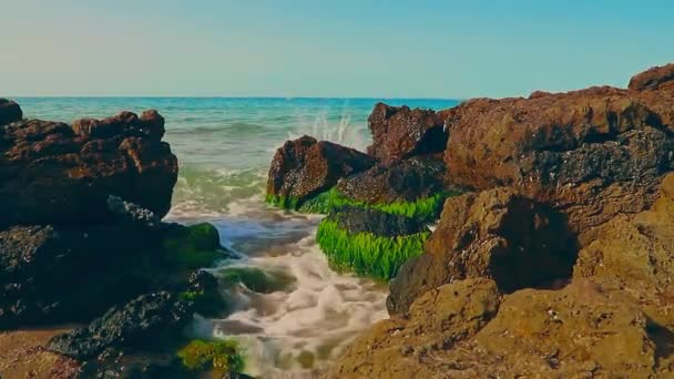 Ondas Atingindo Rochas Praia Pineda Salou Espanha Verão Ensolarado Dia — Vídeo de Stock