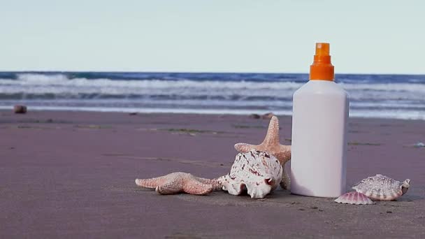 夏天的背景阳光 贝壳和海星在沙滩上 暑假的概念 假期旅行的概念 优质Fullhd影片 — 图库视频影像