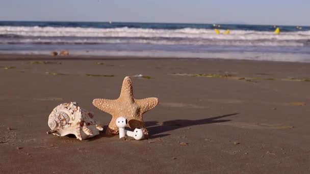 夏の背景ヘッドフォン シェル ヒトデ砂のビーチで 夏休みのコンセプト 高品質のフルHd映像 — ストック動画