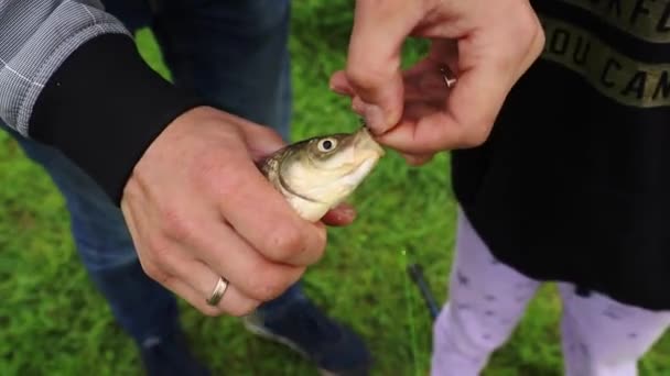 Мужчина Держит Рыбу Руках Пытается Вытащить Крючок Рта Закройте Высококачественные — стоковое видео