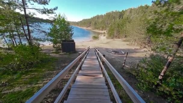 Landskab Fra Trætrappen Mod Søen Midt Skoven Solrig Sommerdag Langsom – Stock-video