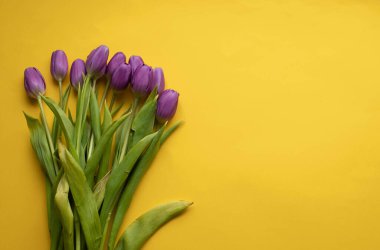 Spring fresh tulips on yellow background for mothers day, valentine, easter holidays postcard invitation.Copy space.Top view photo.