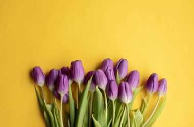 Spring fresh tulips on yellow background for mothers day, valentine, easter holidays postcard invitation.Copy space.Top view photo.