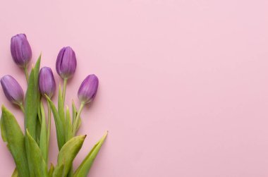 Spring fresh tulips on rose background for mothers day, valentine, easter holidays postcard invitation.Copy space.Top view photo.