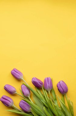 Anneler günü için sarı arka planda taze laleler, sevgililer günü davetiyesi, paskalya kartı davetiyesi. Boşluğu kopyala..