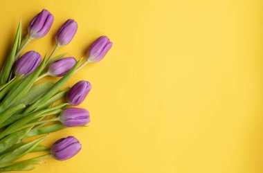 Anneler günü için sarı arka planda taze laleler Sevgililer Günü, Paskalya bayramı davetiyesi. Boşluğu kopyala..