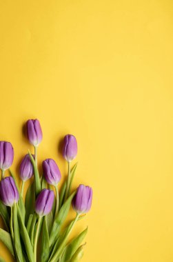 Anneler günü için sarı arka planda taze laleler Sevgililer Günü, Paskalya bayramı davetiyesi. Boşluğu kopyala..