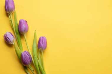 Spring fresh tulips on yellow background for mothers day, valentine, easter holidays postcard invitation.Copy space.Top view photo.