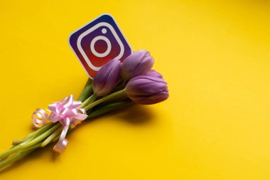 Instagram icon and spring fresh tulips on yellow background.Copy space.Top view photo.