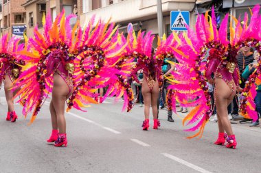 23 Şubat 2023 'te İspanya' nın Pilar de la Horada kentinde canlı tüylü kostümlü renkli karnaval geçidi .