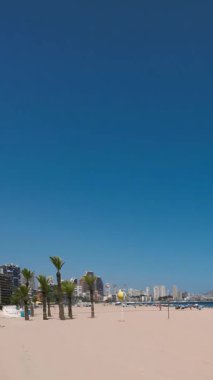 Benidorm şehri kıyılarında, açık mavi gökyüzü altında palmiye ağaçları. Yüksek kaliteli FullHD görüntüler