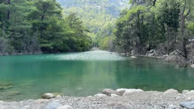 Su akışı, dağlarda göl. Berrak dağ nehri. Yüksek kalite 4k görüntü