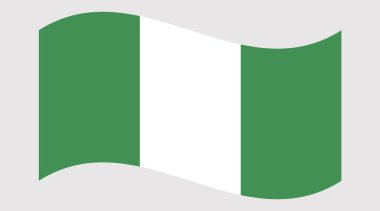 Sallanan Nijerya Bayrağı Ulusal Sembolü. Yüksek kalite fotoğraf