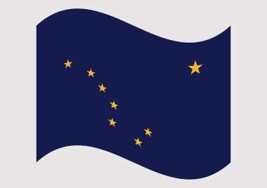 Alaska Eyaleti Bayrağı 'nı sallıyor. Yüksek kalite fotoğraf