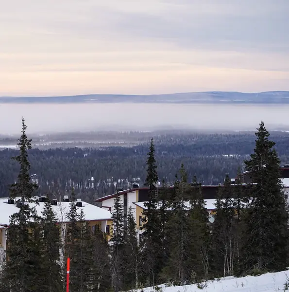 Karla kaplı binalar ve ağaçlarla kaplı kış manzarası... karla kaplı bir köyün manzarası... yüksek yeşil ağaçlarla çevrili... ve yumuşak pastel bir gökyüzünün altındaki uzak sisli tepeler....