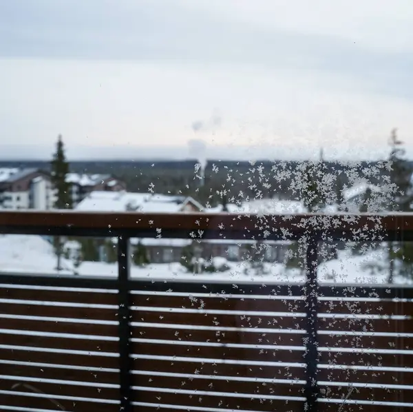 Kış Sabahında Donmuş Şekiller. Korkuluktaki narin buz kristalleri bulanık karlı manzarayla birlikte kışın sakin anlarının güzelliğini yakalıyor.