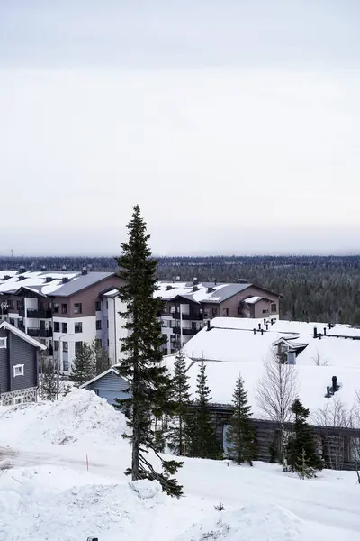Orman manzaralı karlı bir köy... huzurlu bir kış manzarası rahat evler, uzun bir çam ağacı, ufukta uzanan geniş bir orman, karlı bir inzivanın güzelliğini yakalıyor..