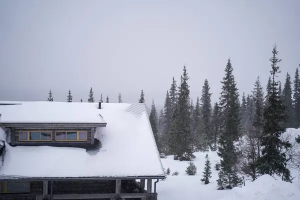 Kar ormandaki ahşap kulübeyi, karlı çatılı ahşap kulübeyi, sakin bir kış manzarasında, yeşil ağaçlarla çevrili. Doğada barışçıl bir geri çekilme..